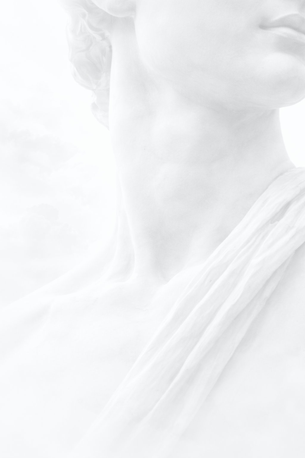 Pro plan background image